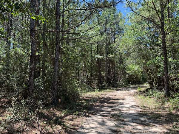 442 Acres of Land for Sale in Chipley, Florida