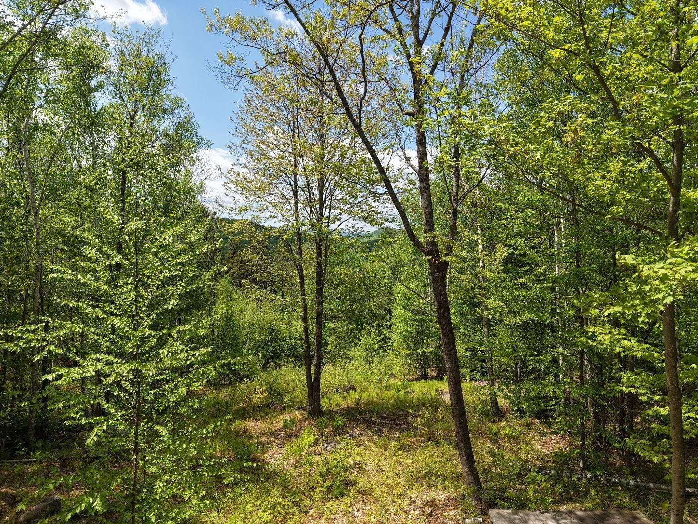 3.7 Acres of Residential Land for Sale in Hanover Town, Maine