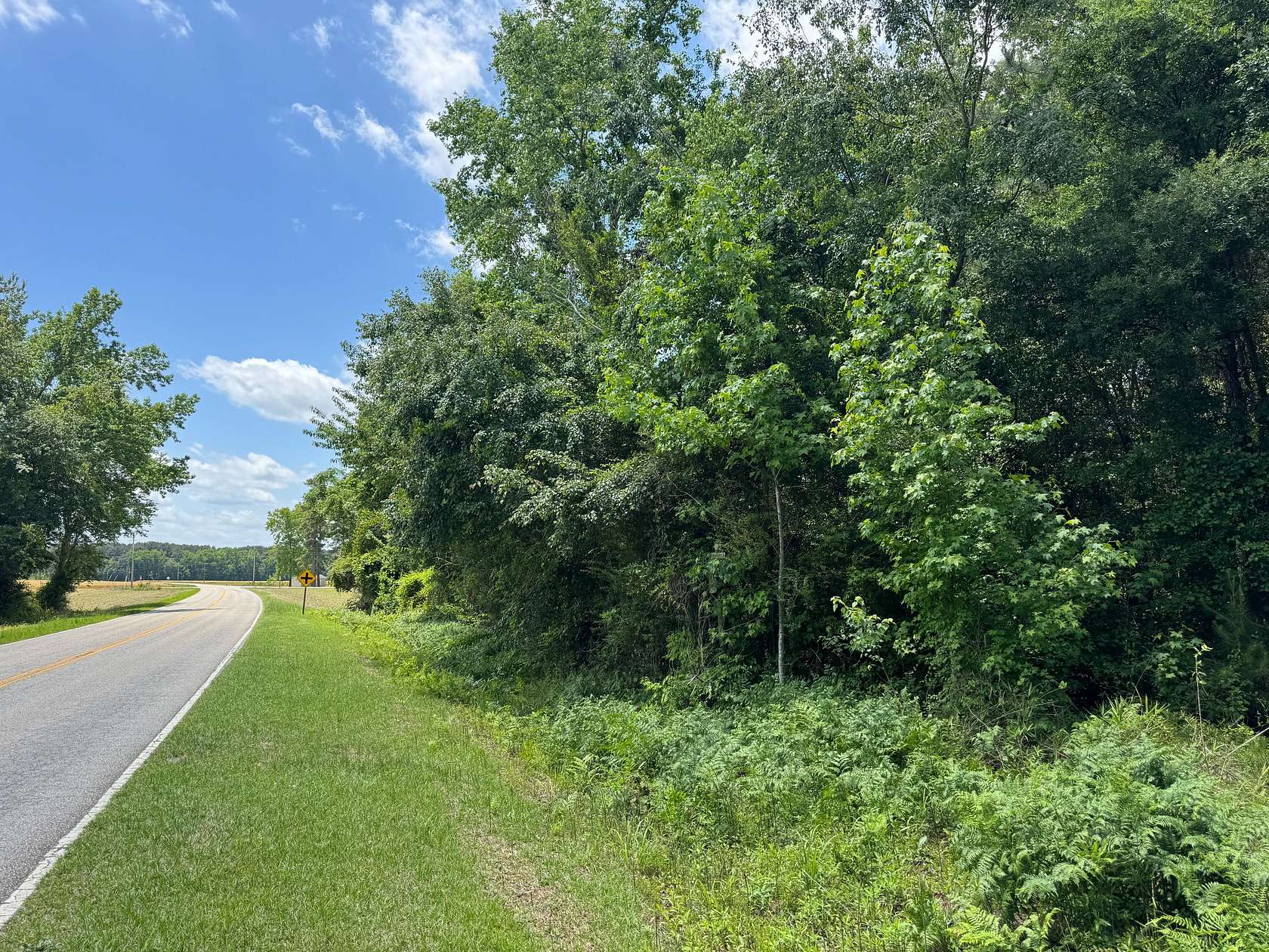 95.5 Acres of Land for Sale in Clio, South Carolina