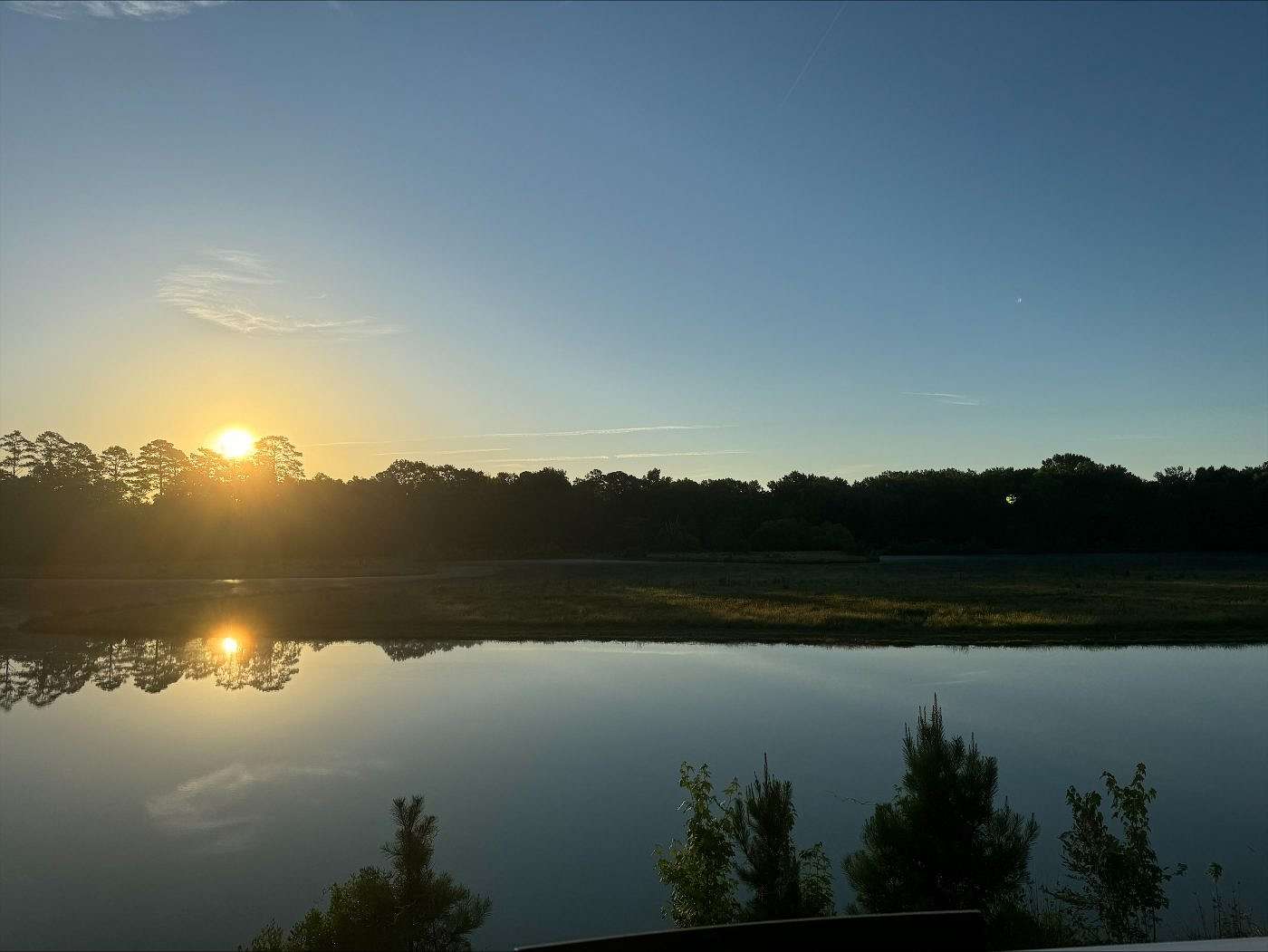 77.3 Acres of Recreational Land for Sale in Bishopville, South Carolina