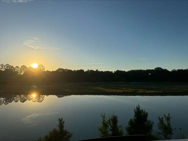 77.3 Acres of Recreational Land for Sale in Bishopville, South Carolina