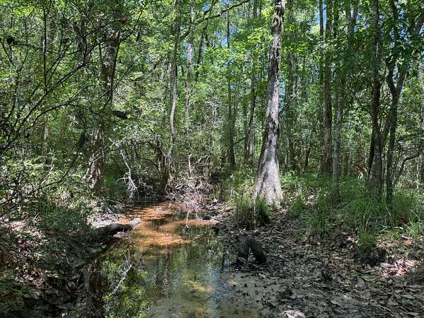 36 Acres of Land for Sale in Vernon, Florida