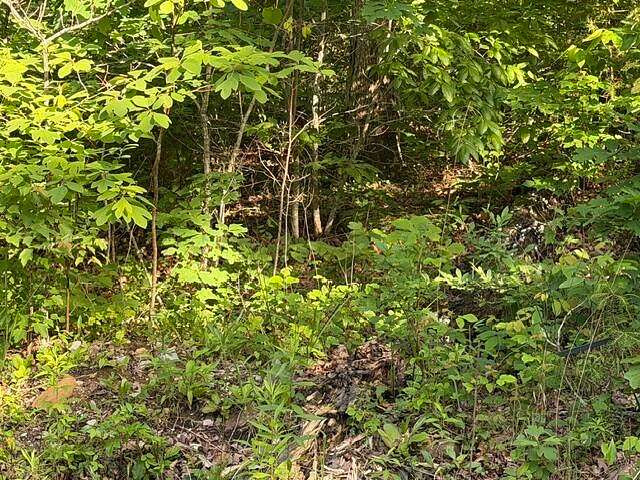 3.37 Acres of Residential Land for Sale in Pikeville, Tennessee