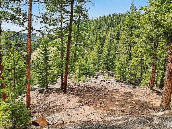 2.5 Acres of Residential Land for Sale in Evergreen, Colorado