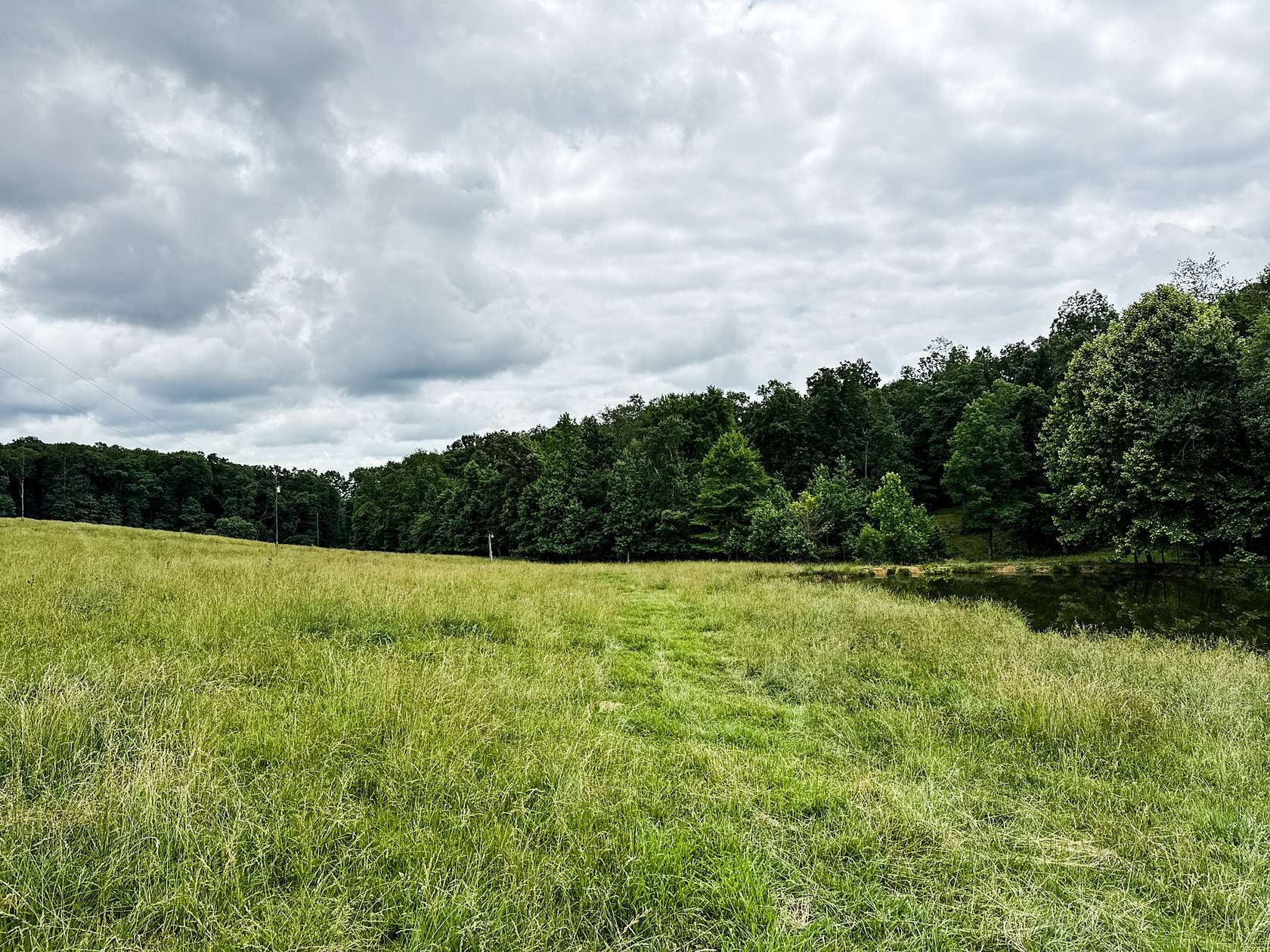 93 Acres of Land for Sale in Lutts, Tennessee