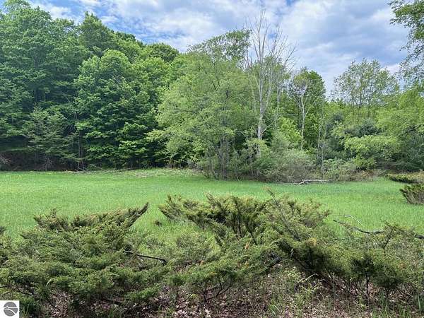 6.78 Acres of Residential Land for Sale in Empire, Michigan