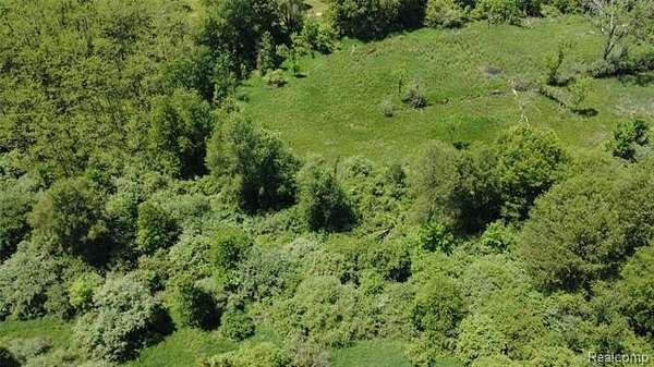10 Acres of Recreational & Residential Land for Sale in Unadilla Township, Michigan