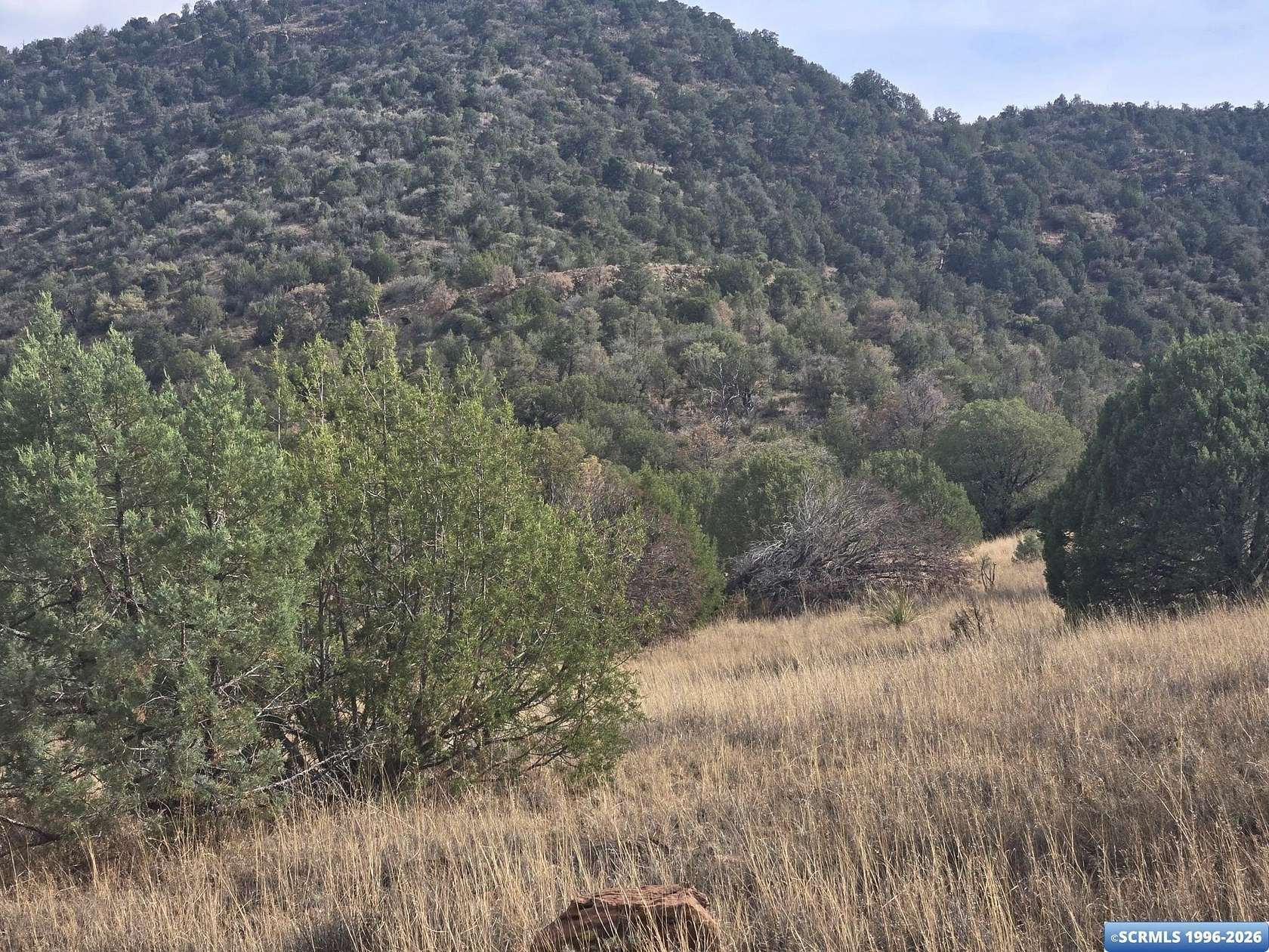 260 Acres of Recreational & Residential Land for Sale in Mimbres, New Mexico