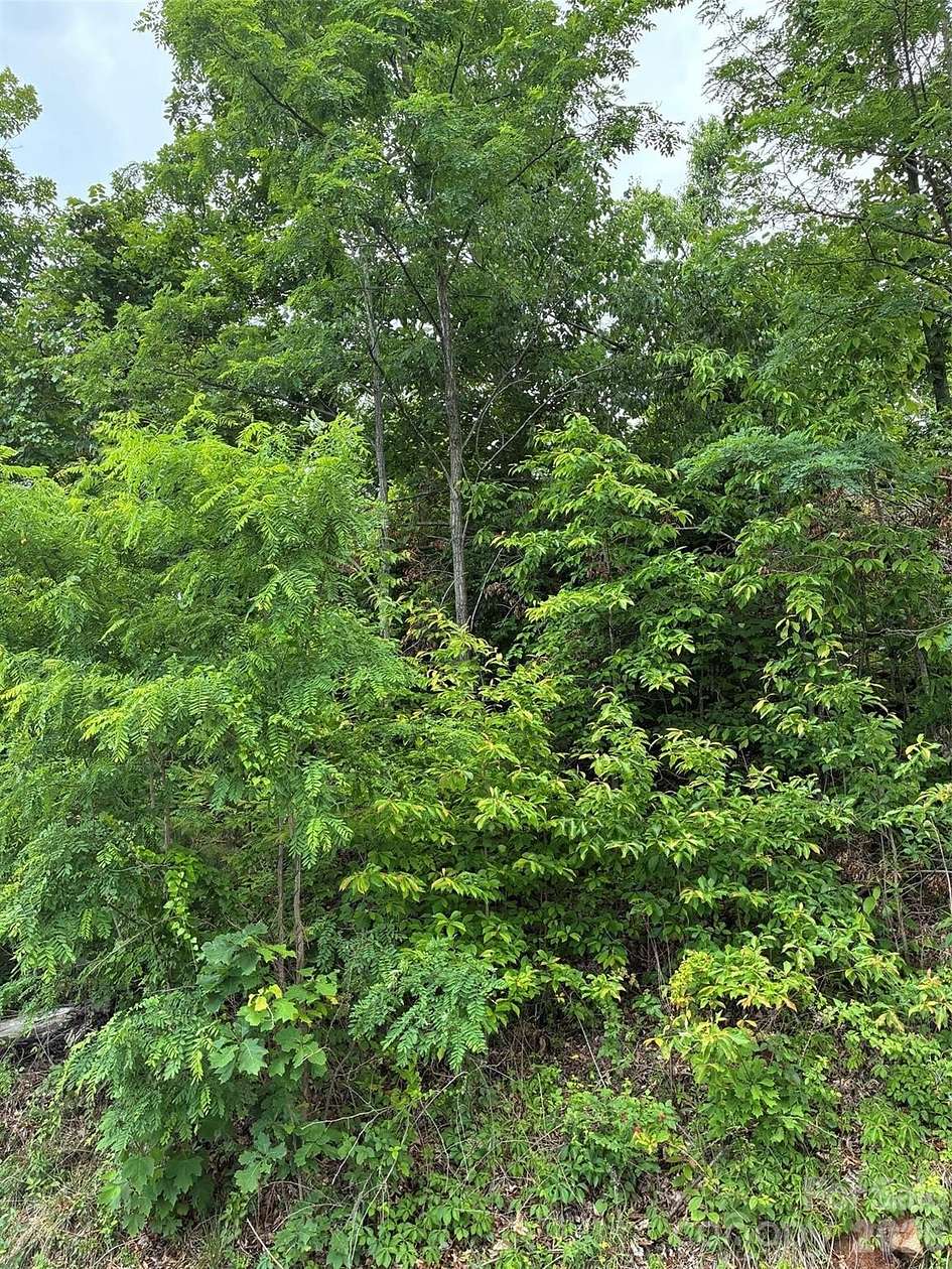 1.48 Acres of Residential Land for Sale in Union Mills, North Carolina