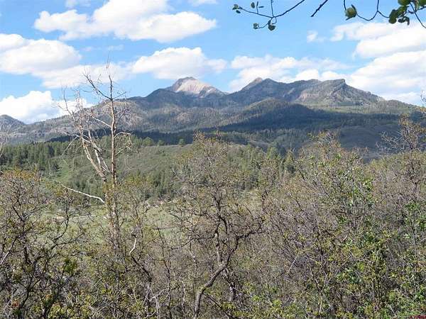 8 Acres of Land for Sale in Pagosa Springs, Colorado