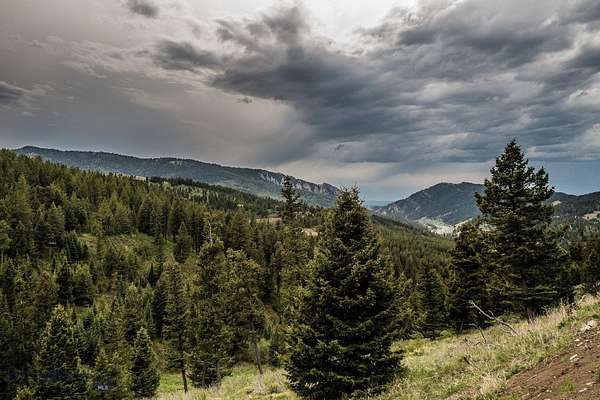 19.7 Acres of Land for Sale in Bozeman, Montana