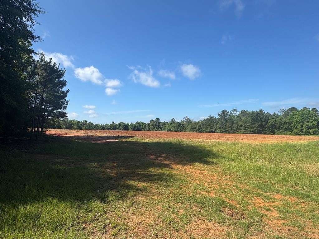 13.7 Acres of Land for Sale in Georgetown, Georgia