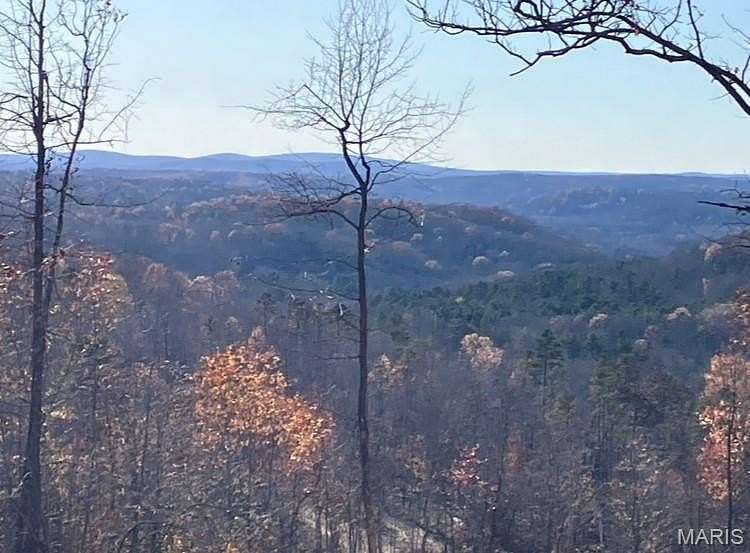 20 Acres of Recreational & Residential Land for Sale in Fredericktown, Missouri