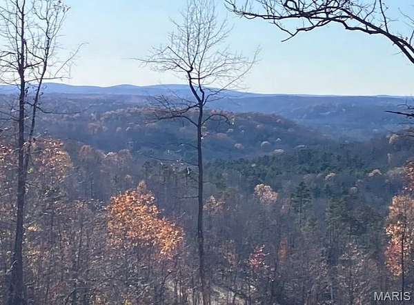 20 Acres of Recreational & Residential Land for Sale in Fredericktown, Missouri