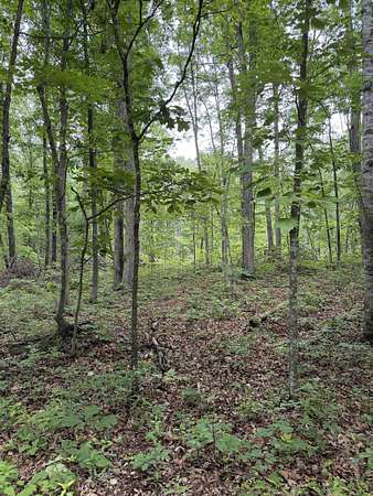 0.5 Acres of Residential Land for Sale in Crimora, Virginia