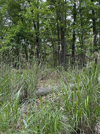 0.52 Acres of Residential Land for Sale in Crimora, Virginia