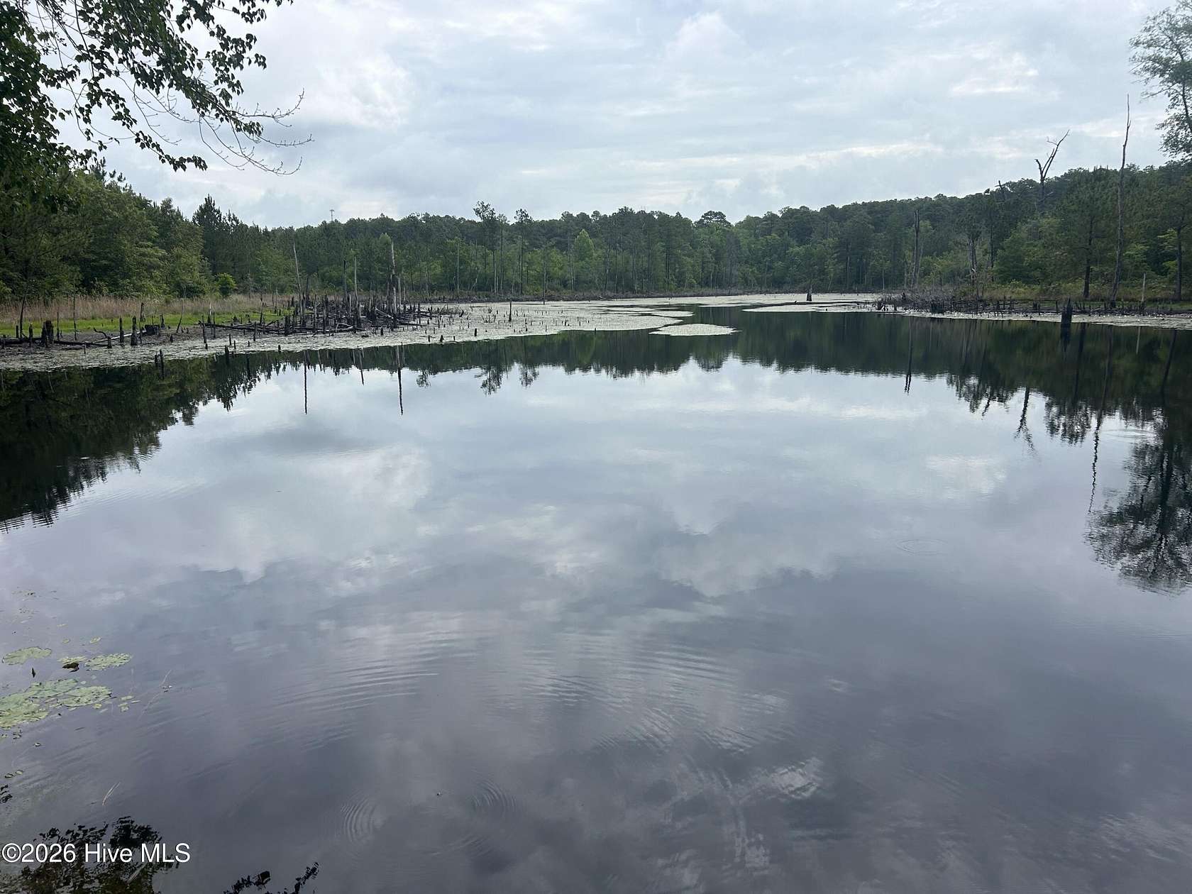 35.3 Acres of Recreational & Residential Land for Sale in Rockingham, North Carolina