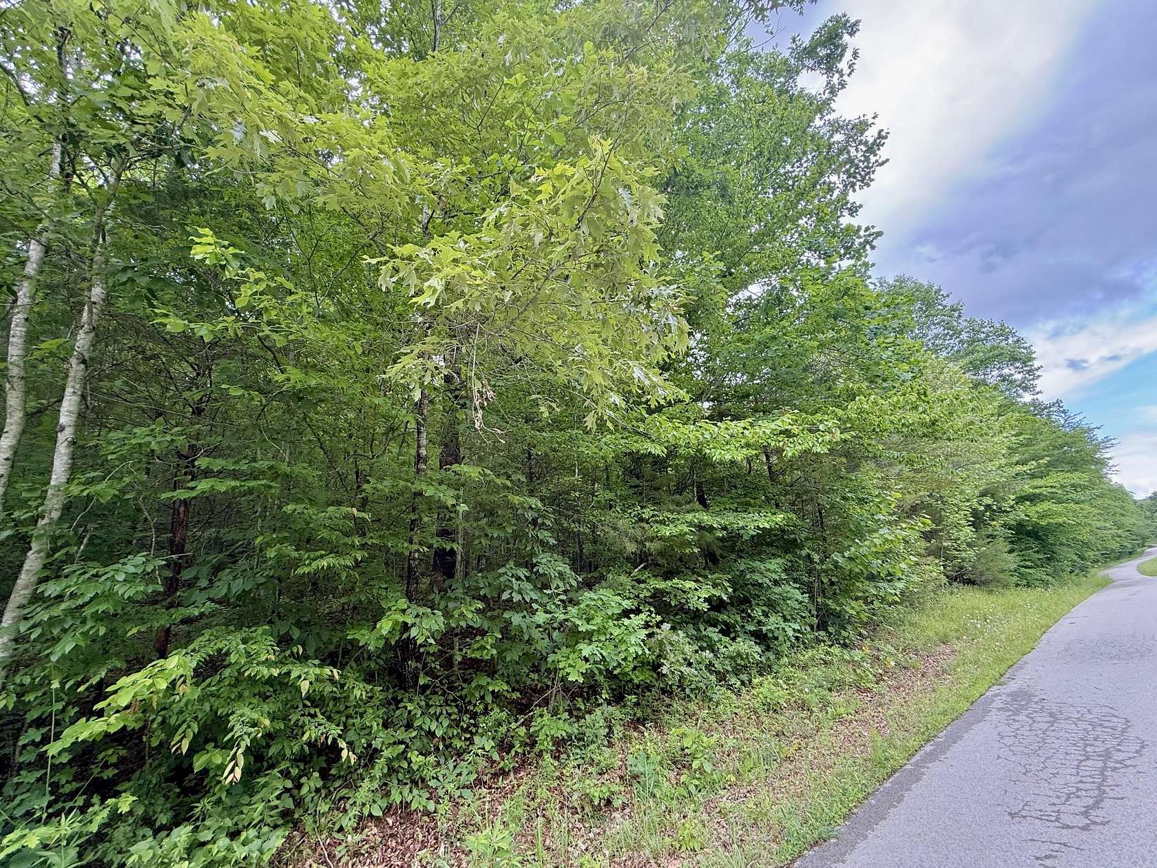 53.8 Acres of Recreational & Residential Land for Sale in Dunnville, Kentucky