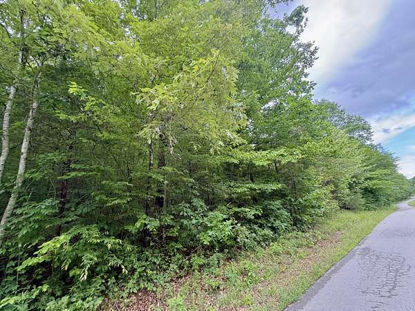 53.8 Acres of Recreational & Residential Land for Sale in Dunnville, Kentucky
