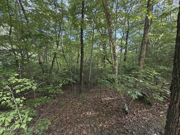 8 Acres of Residential Land for Sale in Sevierville, Tennessee