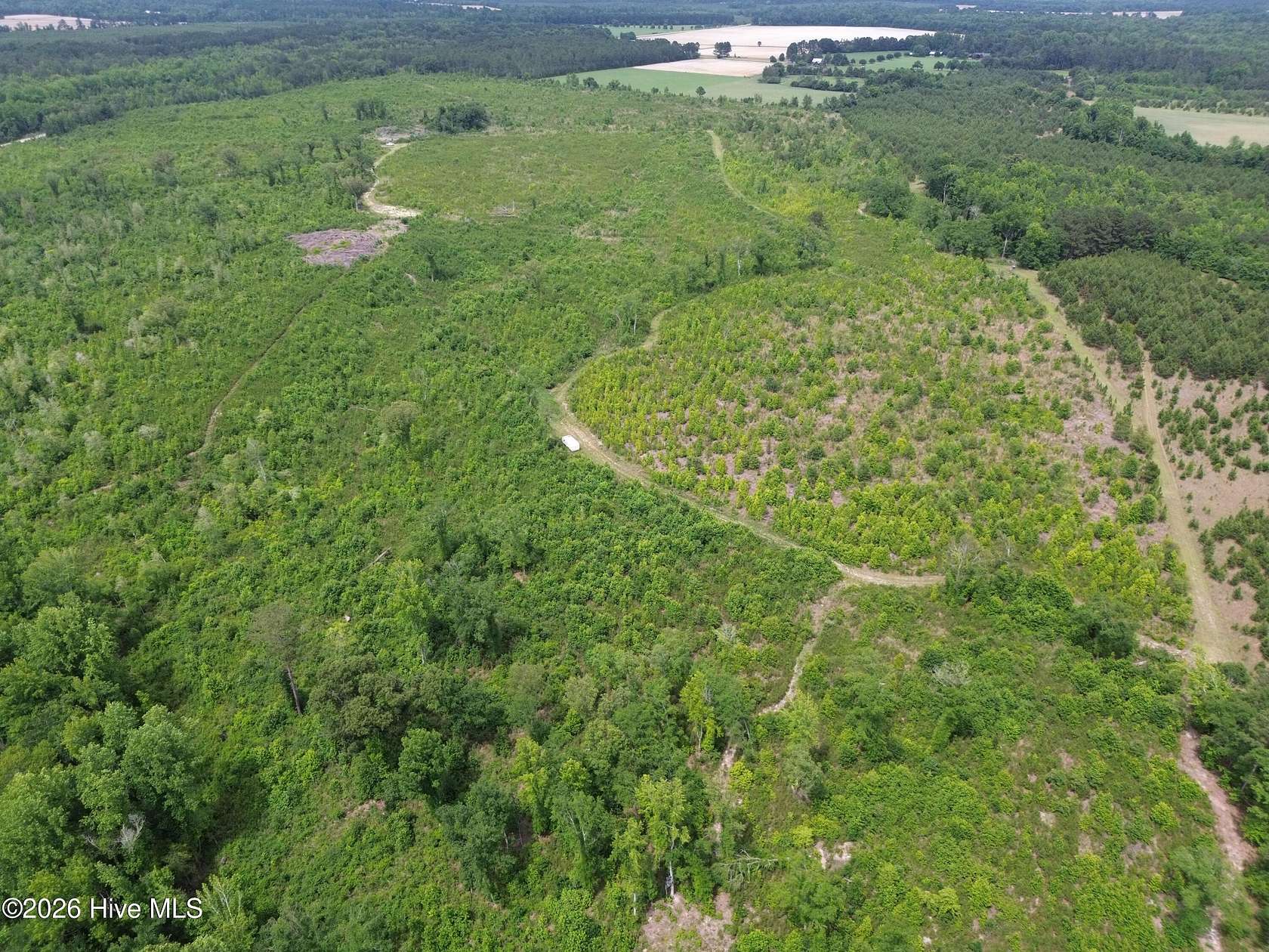69.8 Acres of Land for Sale in Stapleton, Georgia