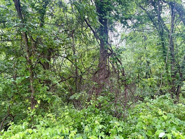 1.7 Acres of Residential Land for Sale in Greenfield, Missouri