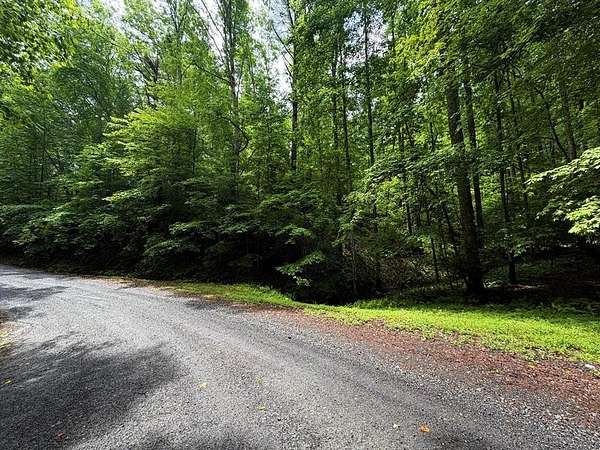 1.37 Acres of Residential Land for Sale in Ellijay, Georgia
