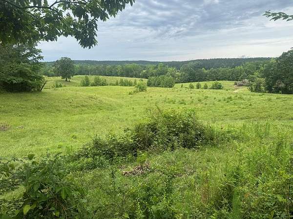 30 Acres of Agricultural & Residential Land for Sale in Paris, Mississippi