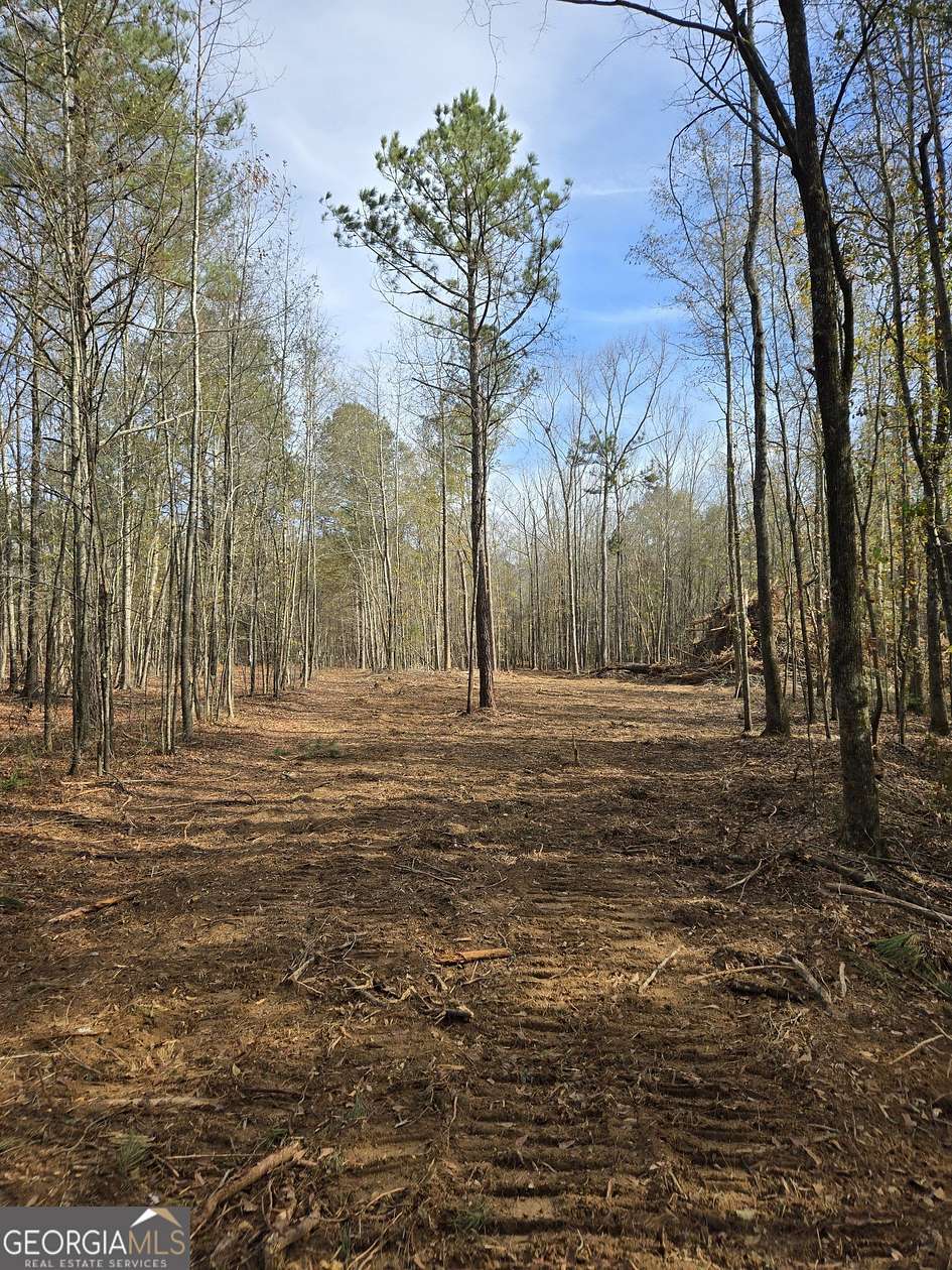 8.75 Acres of Residential Land for Sale in Barnesville, Georgia