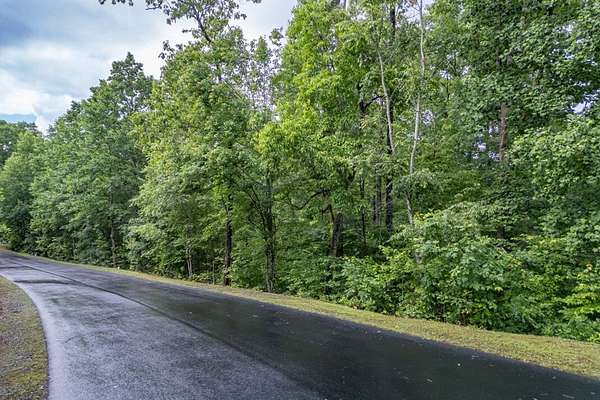 1 Acre of Residential Land for Sale in Ellijay, Georgia