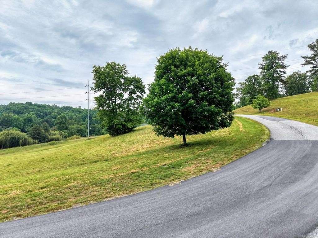 1 Acre of Residential Land for Sale in Blairsville, Georgia