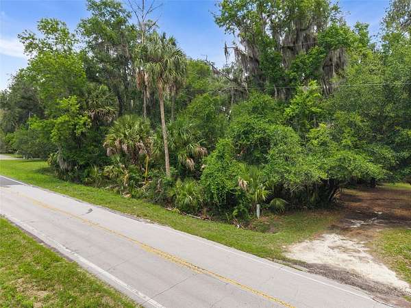 1 Acre of Residential Land for Sale in Micanopy, Florida