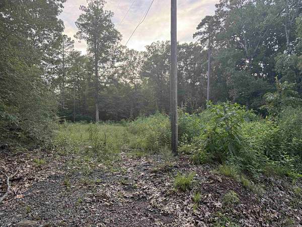 0.27 Acres of Residential Land for Sale in Little Rock, Arkansas