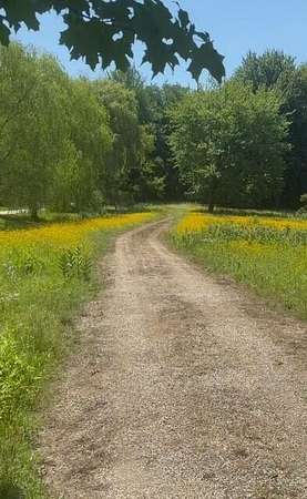 2.62 Acres of Land for Sale in Lakeside, Michigan