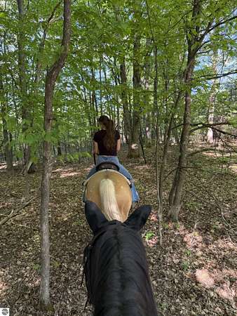 40 Acres of Recreational Land for Sale in Fife Lake, Michigan
