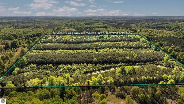 40 Acres of Recreational Land for Sale in Fife Lake, Michigan