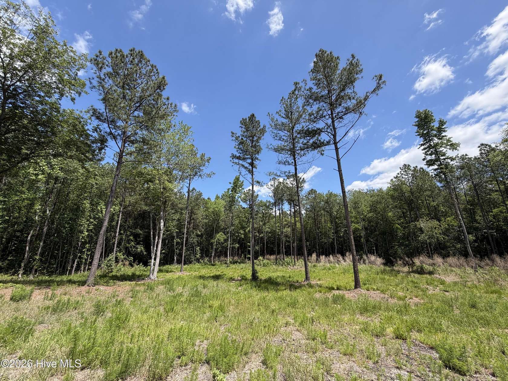 10 Acres of Land for Sale in Vass, North Carolina