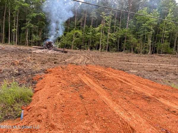 2 Acres of Land for Sale in Braxton, Mississippi