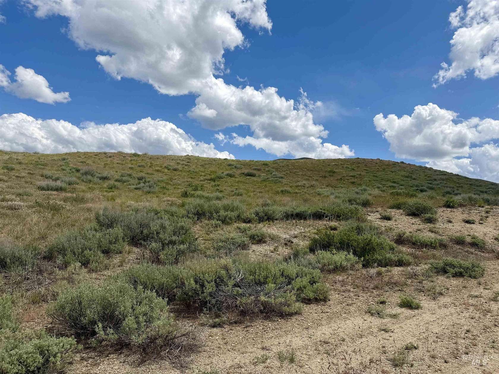 1.2 Acres of Residential Land for Sale in Fairfield, Idaho