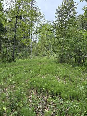 34 Acres of Recreational Land for Sale in Kenduskeag, Maine