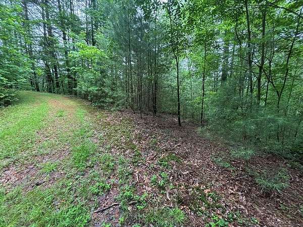 5.13 Acres of Residential Land for Sale in Hayesville, North Carolina