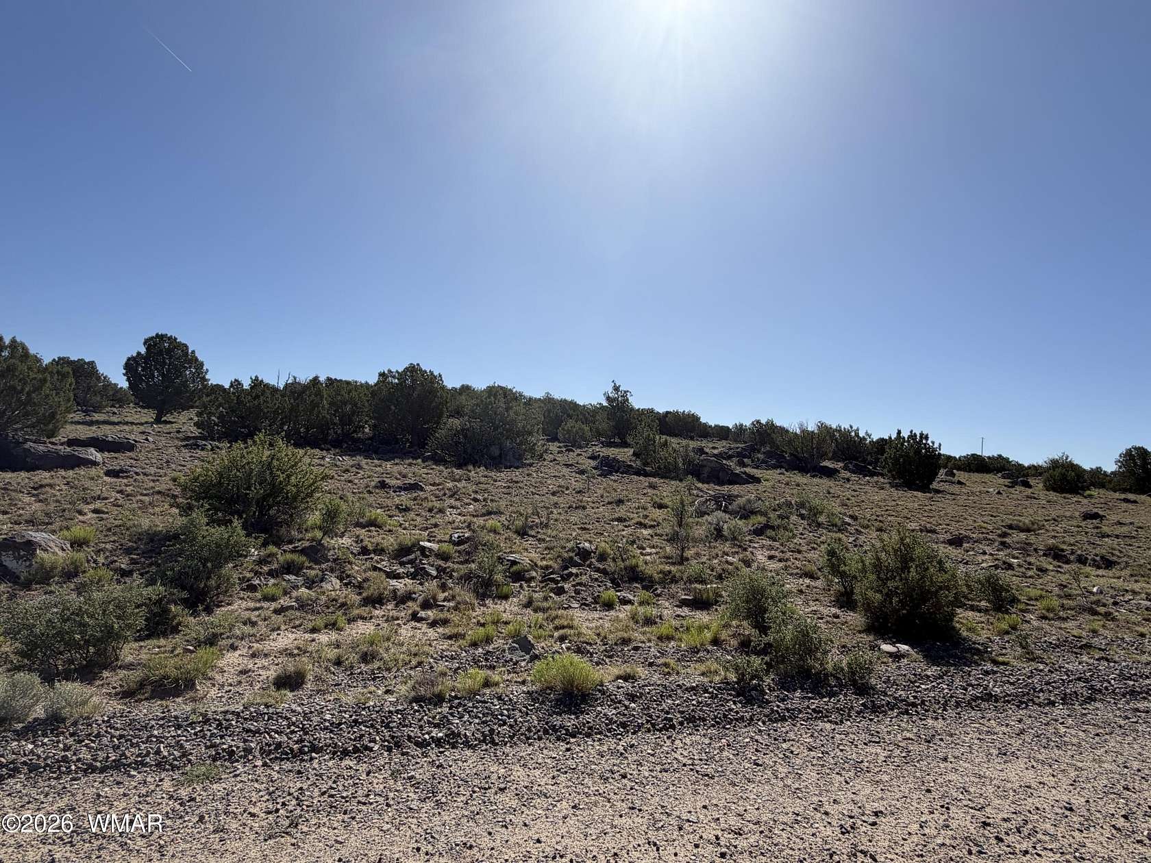 8.4 Acres of Residential Land for Sale in Concho, Arizona