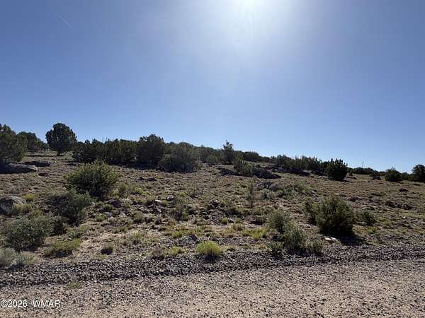 8.4 Acres of Residential Land for Sale in Concho, Arizona
