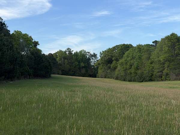 27.7 Acres of Agricultural Land for Sale in Lumberton, Mississippi