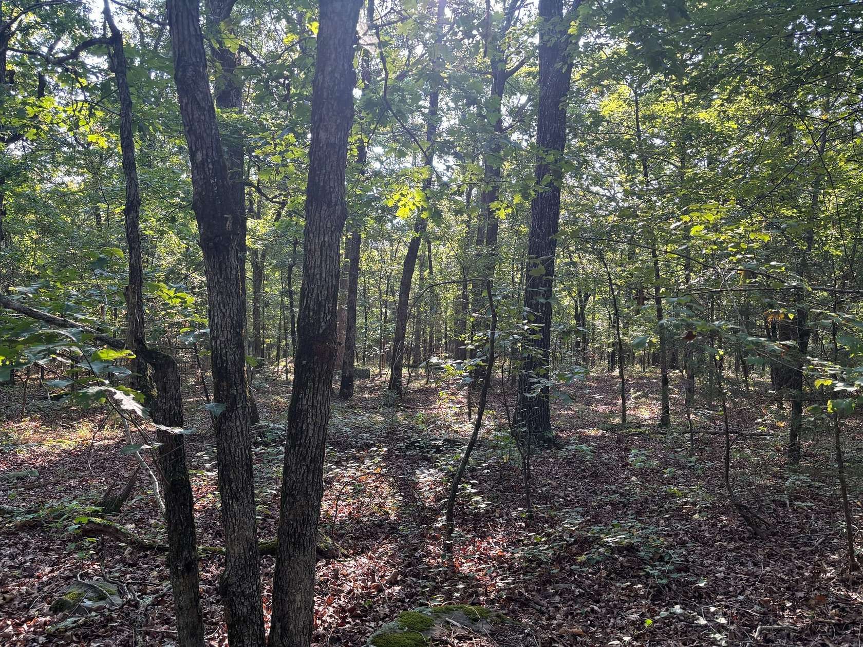 15 Acres of Recreational Land for Sale in Bradford, Arkansas