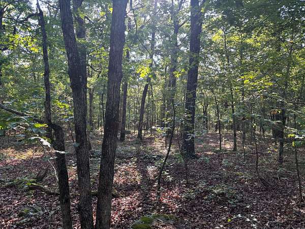 15 Acres of Recreational Land for Sale in Bradford, Arkansas