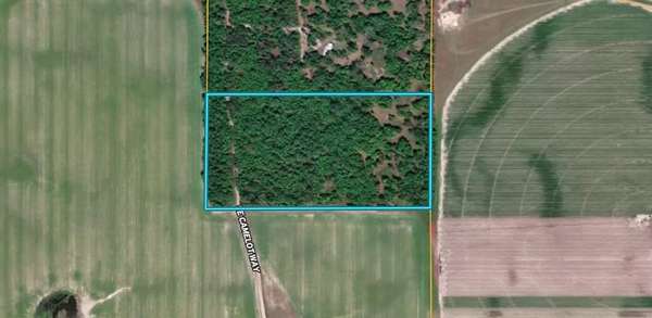 20 Acres of Recreational & Residential Land for Sale in Lee, Florida