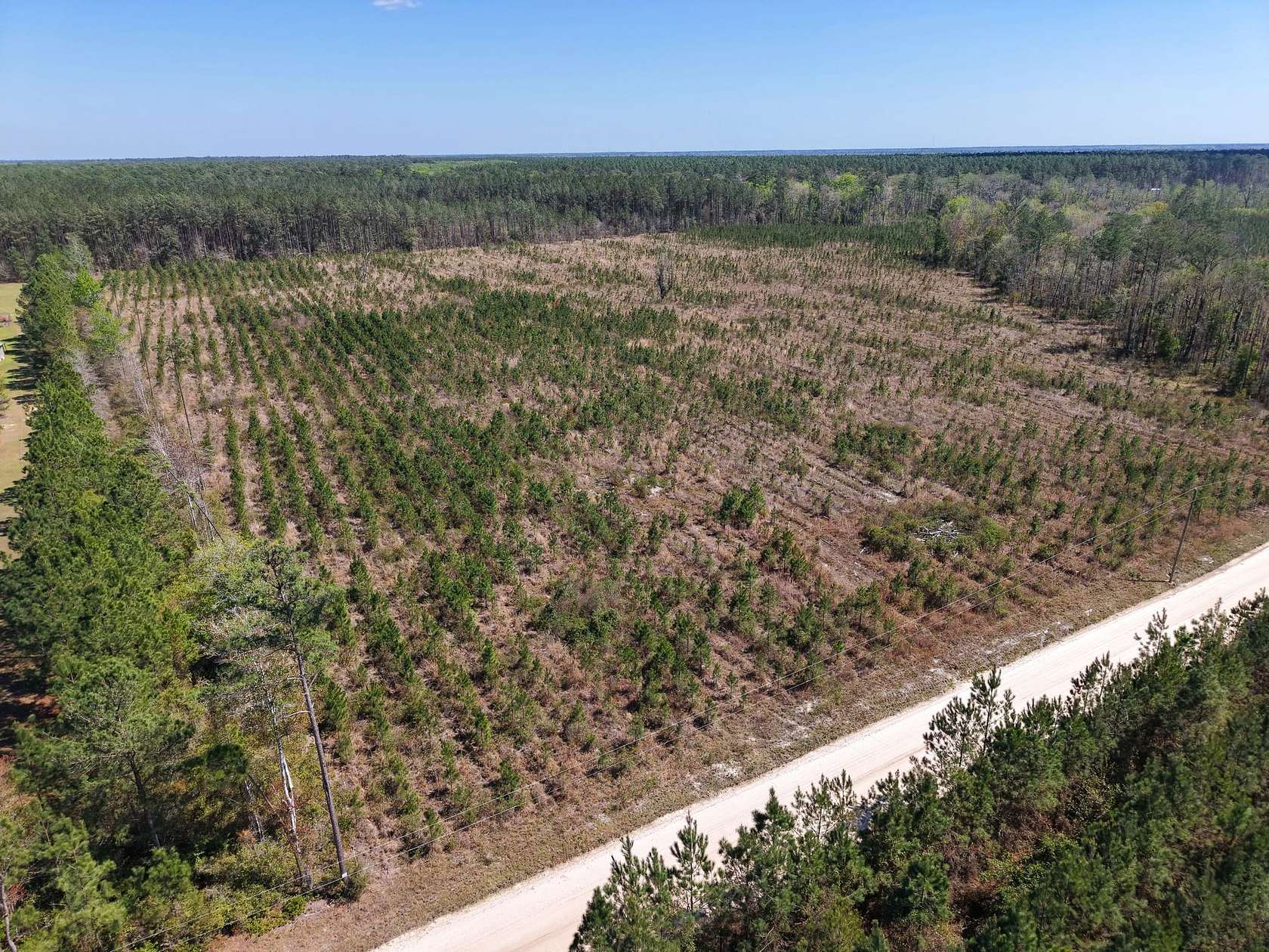 30.7 Acres of Recreational Land for Sale in White Oak, Georgia