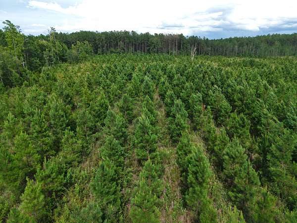 30.7 Acres of Recreational Land for Sale in White Oak, Georgia