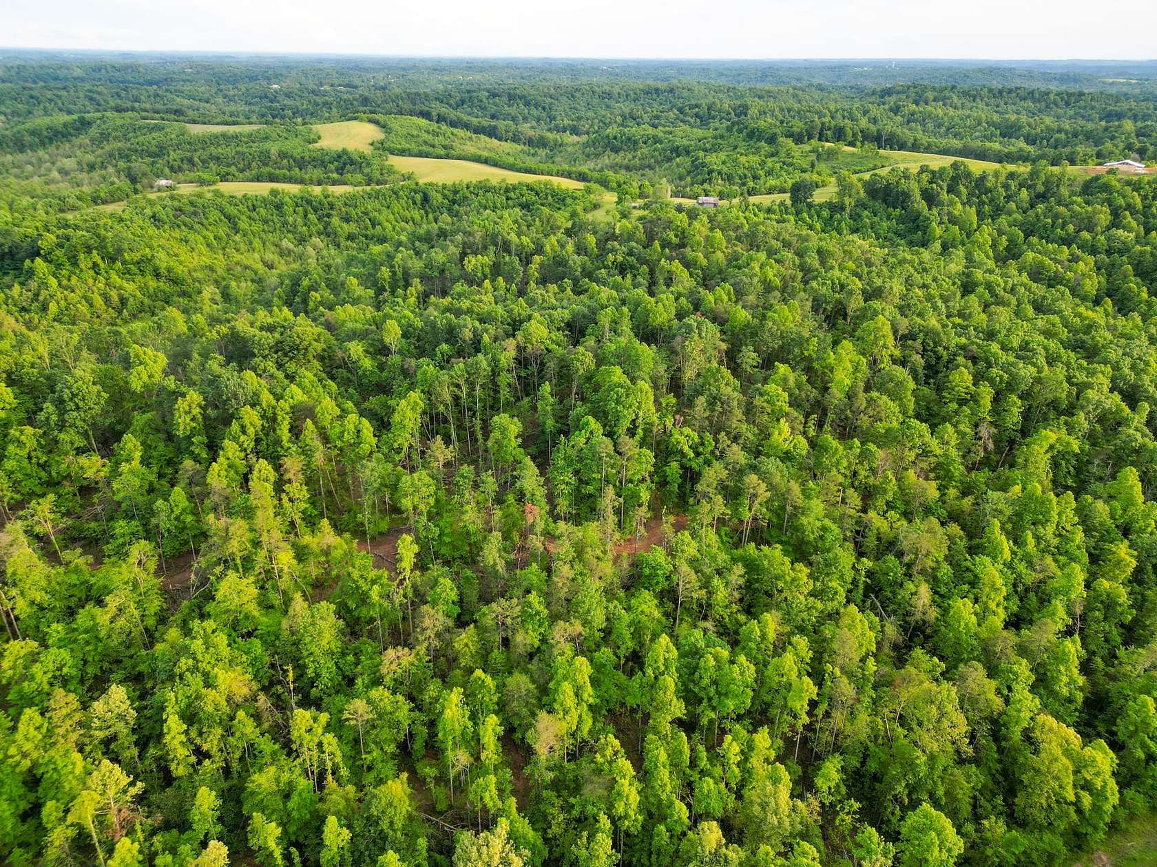 35 Acres of Recreational & Residential Land for Sale in Patriot, Ohio